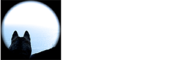 Wild Mind Pictures